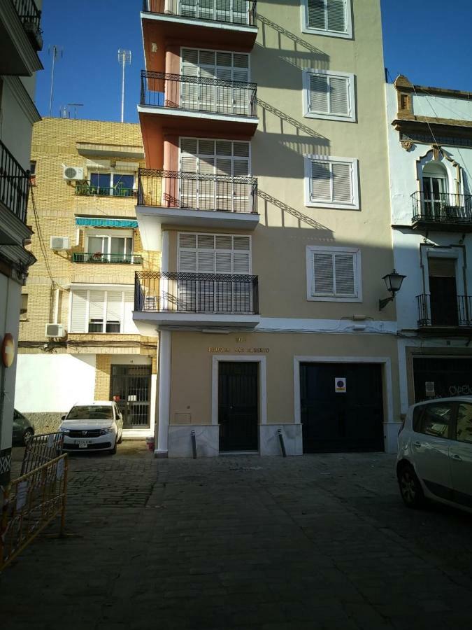 Triana Ruisenor Sevilla
